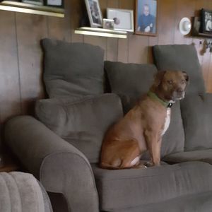 Meet your Posher, Richard